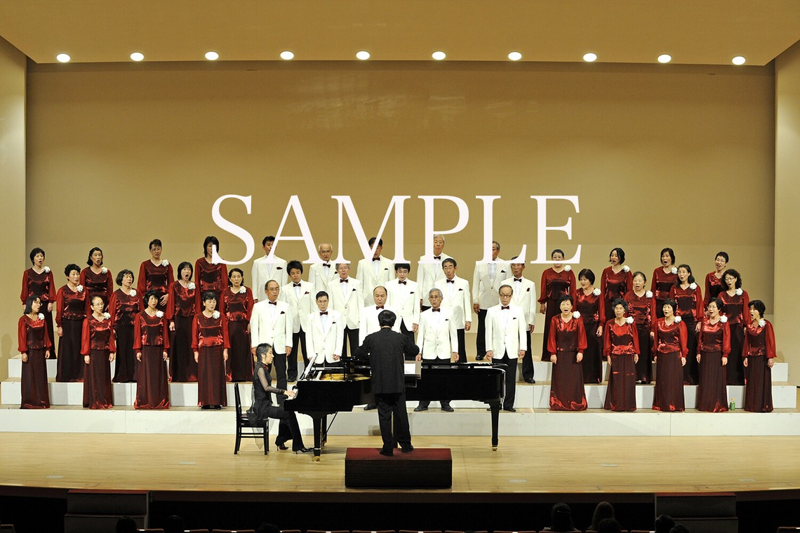 TOKOが撮影した「速写」の写真