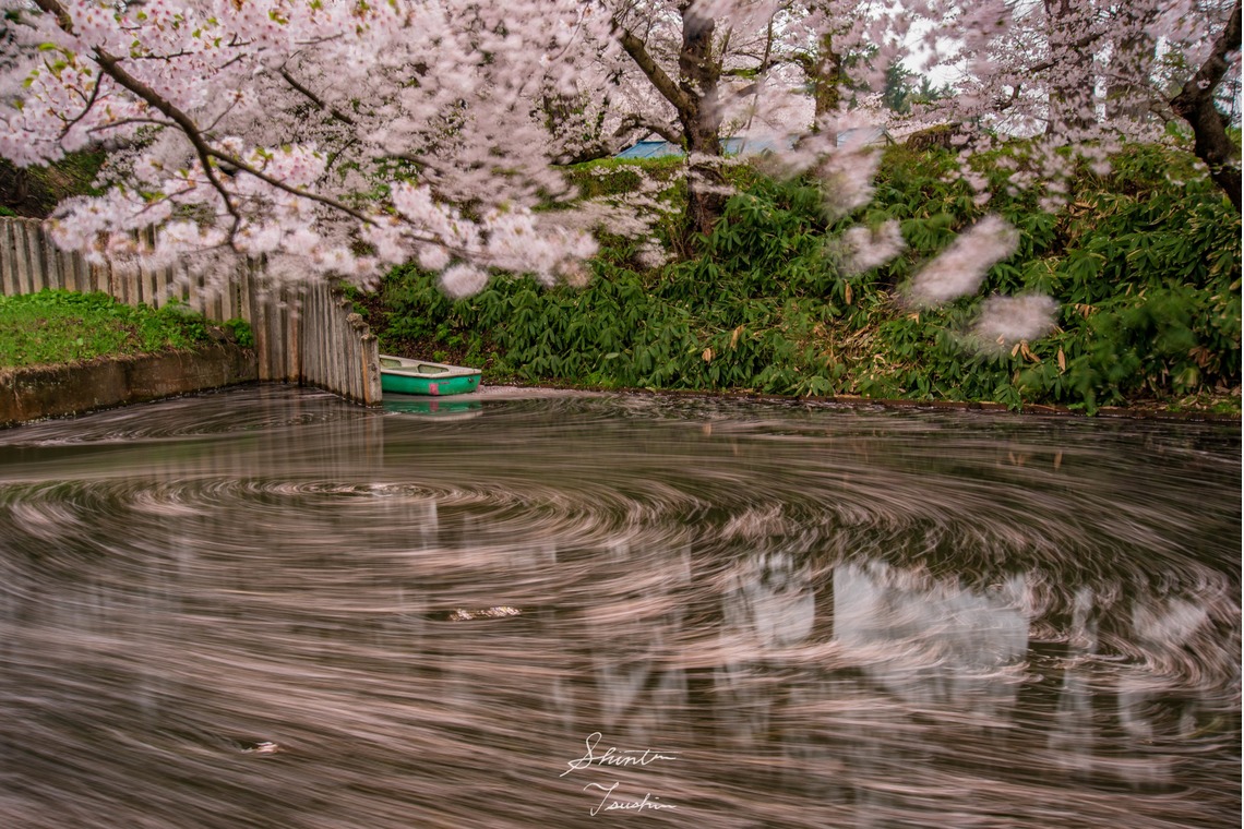 Shintaro Tsushimaが撮影した写真のアルバム「風景」