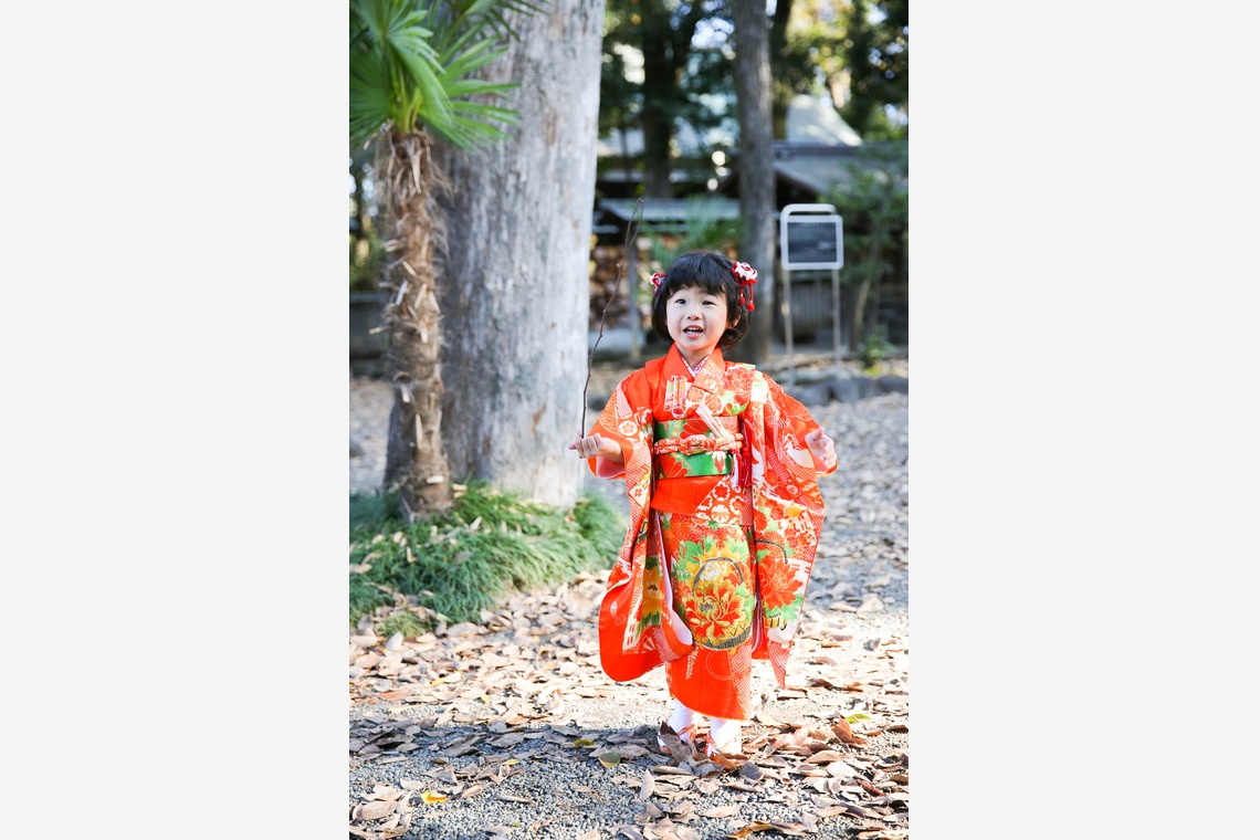 KOMOREBI Photo.　大如　耕平が撮影した写真のアルバム「七五三神社撮影」