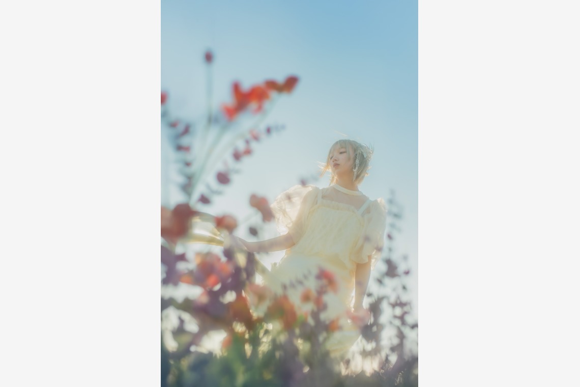 Veil