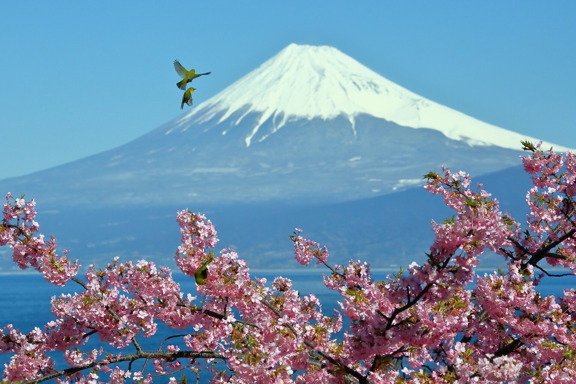 溝口崇が撮影した「風景写真」の写真