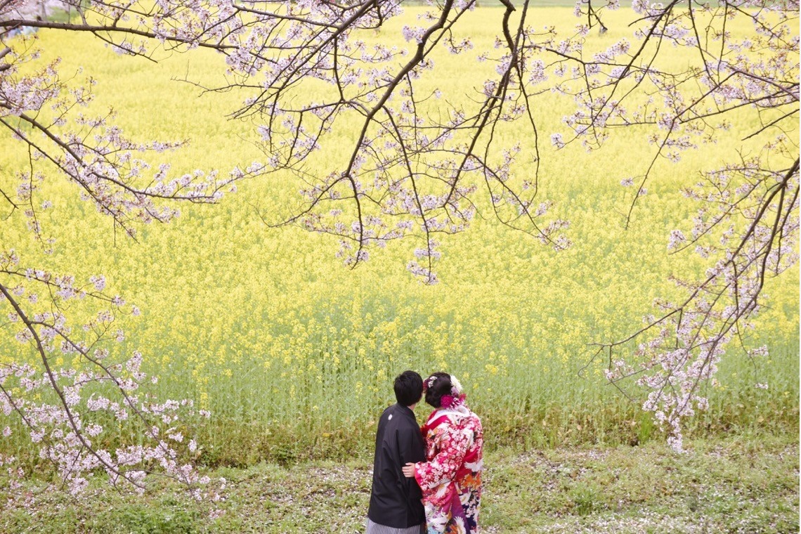 キキフォトワークスが撮影した「桜の季節の和装前撮り」の写真