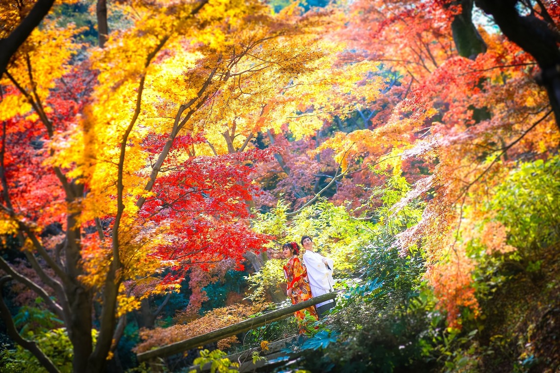 加倉井 規晃が撮影した写真のアルバム「ロケーション・前撮り・公園・和装」