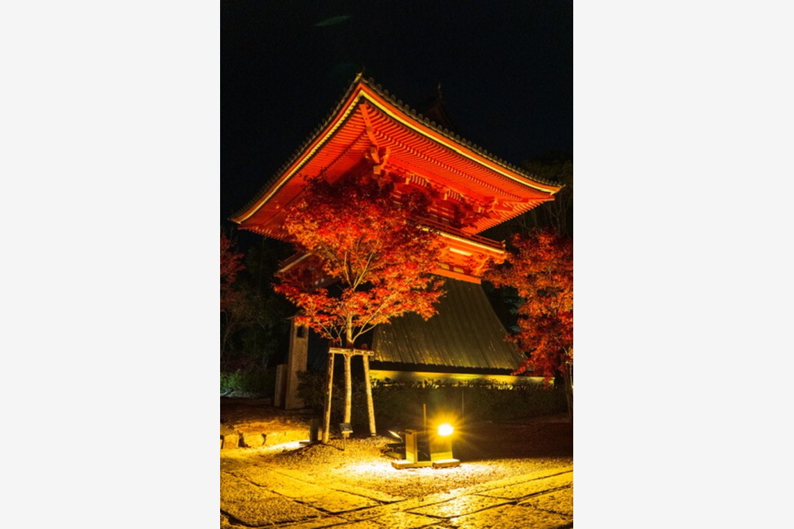 堀田佳資が撮影した「風景」の写真