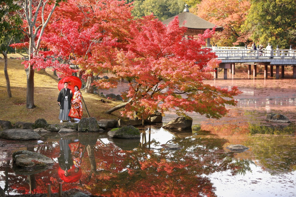 Hayashi Photo Worksが撮影した「奈良フォト」の写真