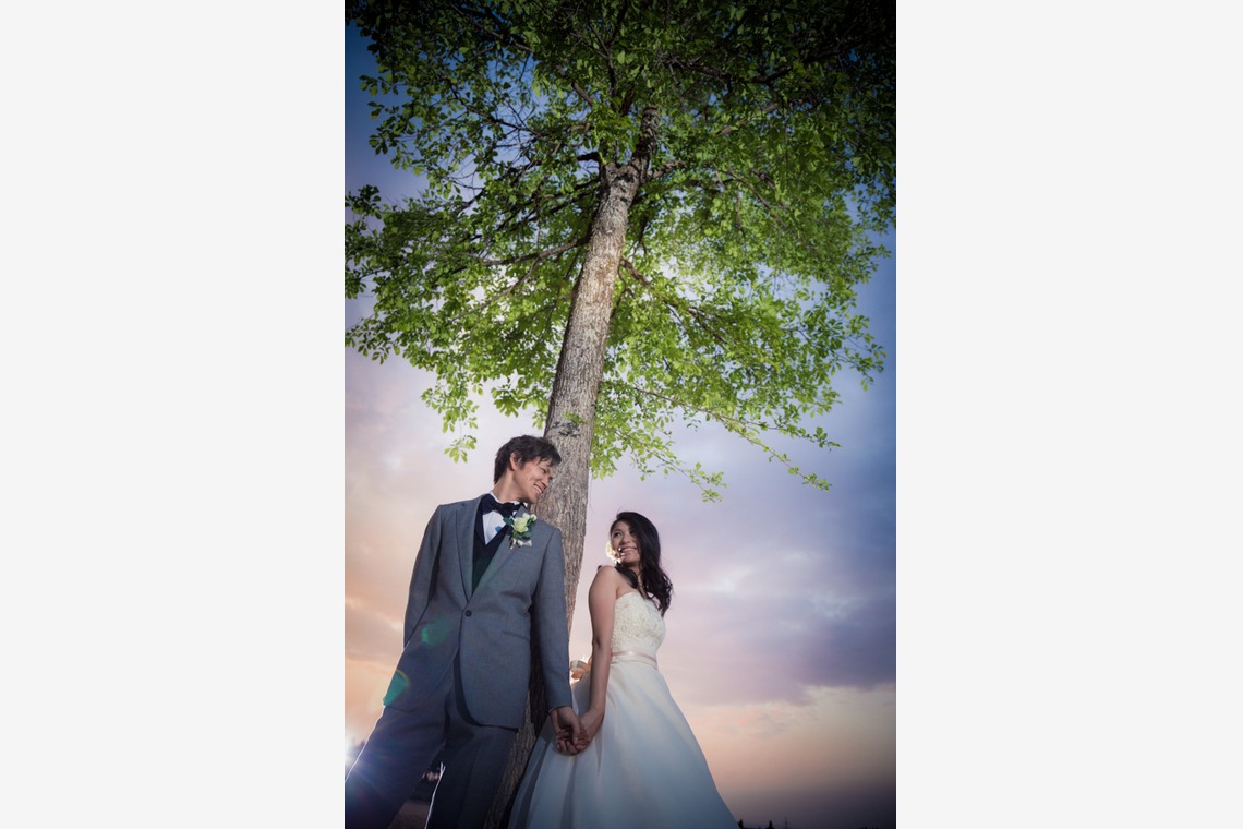 Photo of  taken by studio HATOYA