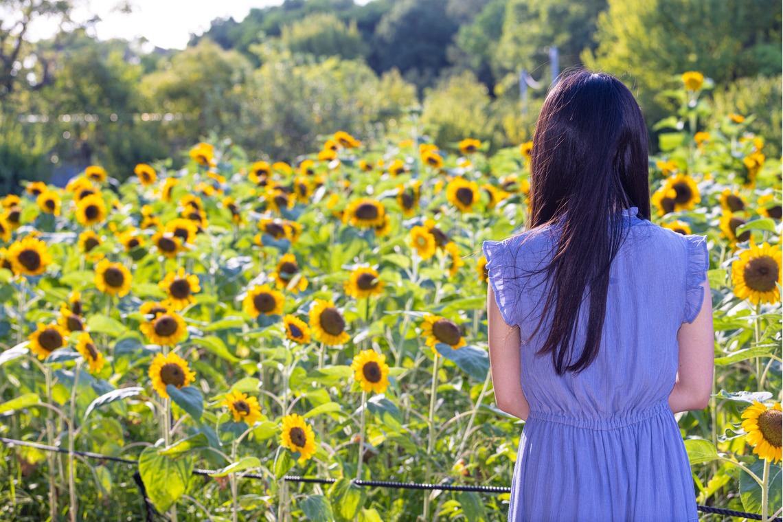 大辻尋稔が撮影した写真のアルバム「フレンドフォト」