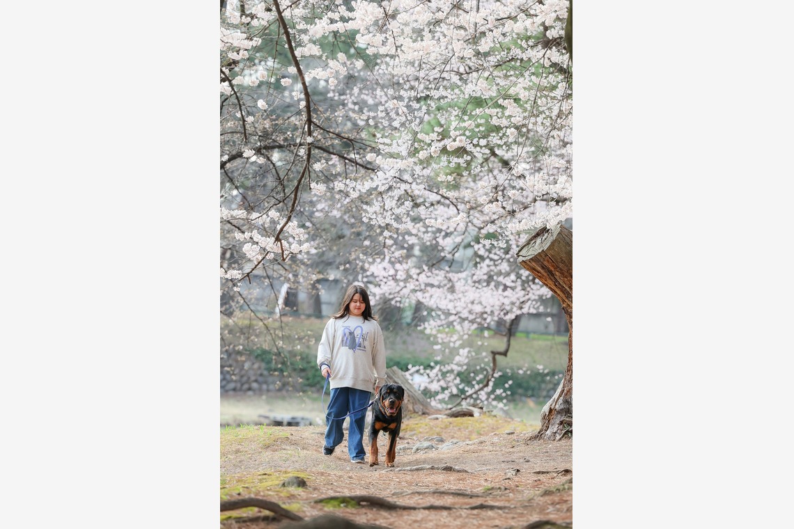 株式会社Neo-Smile 「locationbreeze」高橋 徹が出張撮影した家族写真(キッズ,ベビーフォト)などが写った「ペット」の家族写真