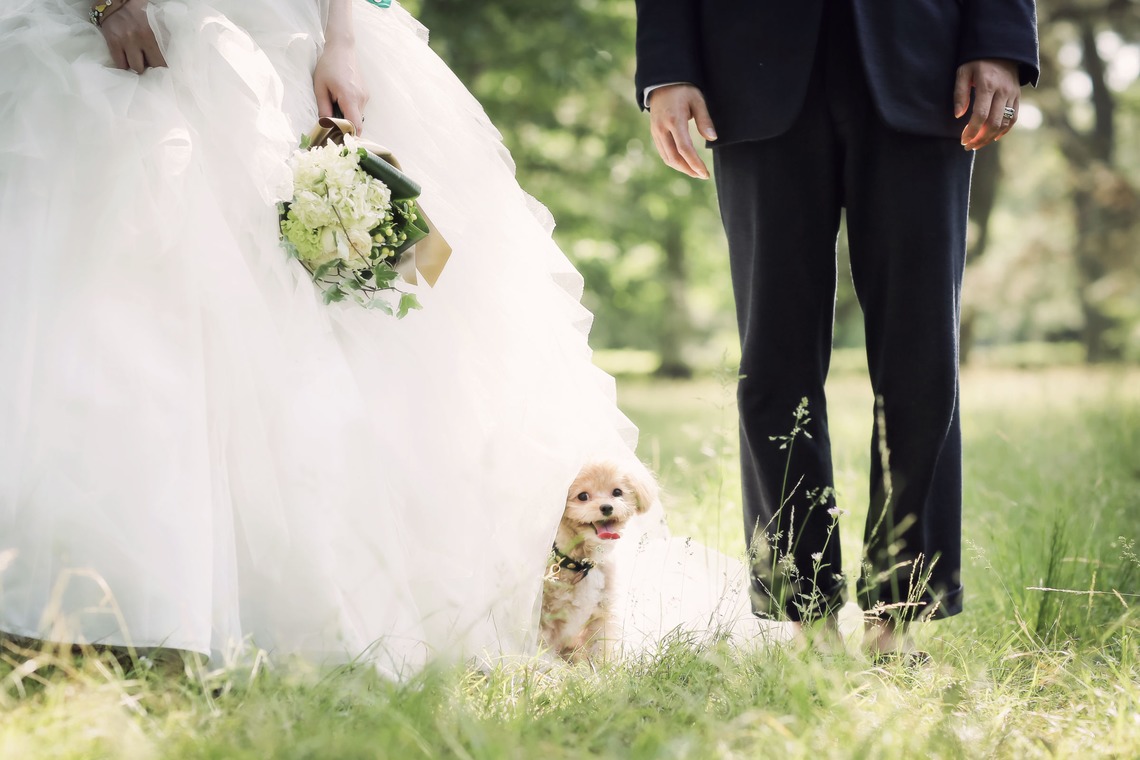 Photo of KYOTO taken by elle pupa