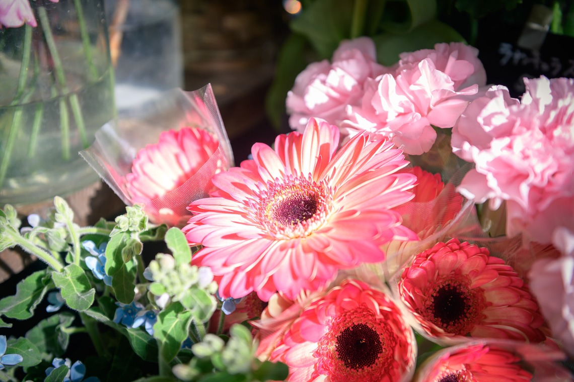 戸澤麻衣が撮影した写真のアルバム「お花屋さんの撮影」