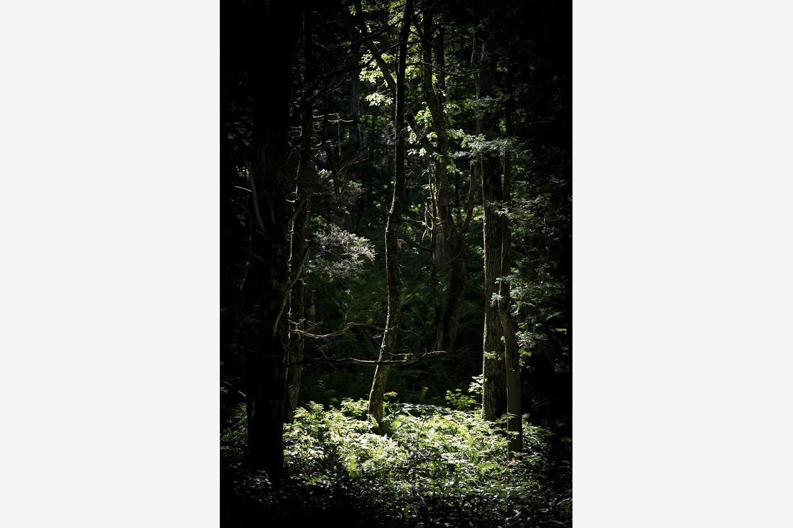 舘　典志が撮影した「風景」の写真