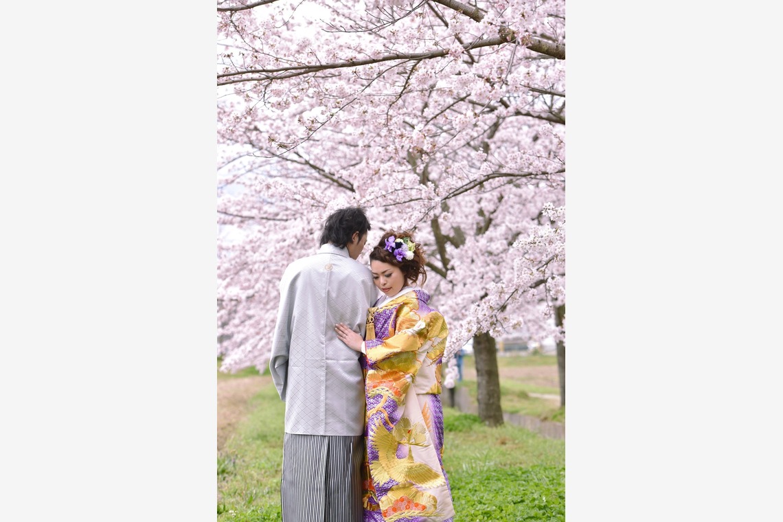 Photo of Pre Weddingphotoshoot in Nara park in the cherry blossom season for foreigners. taken by Kiki photo works