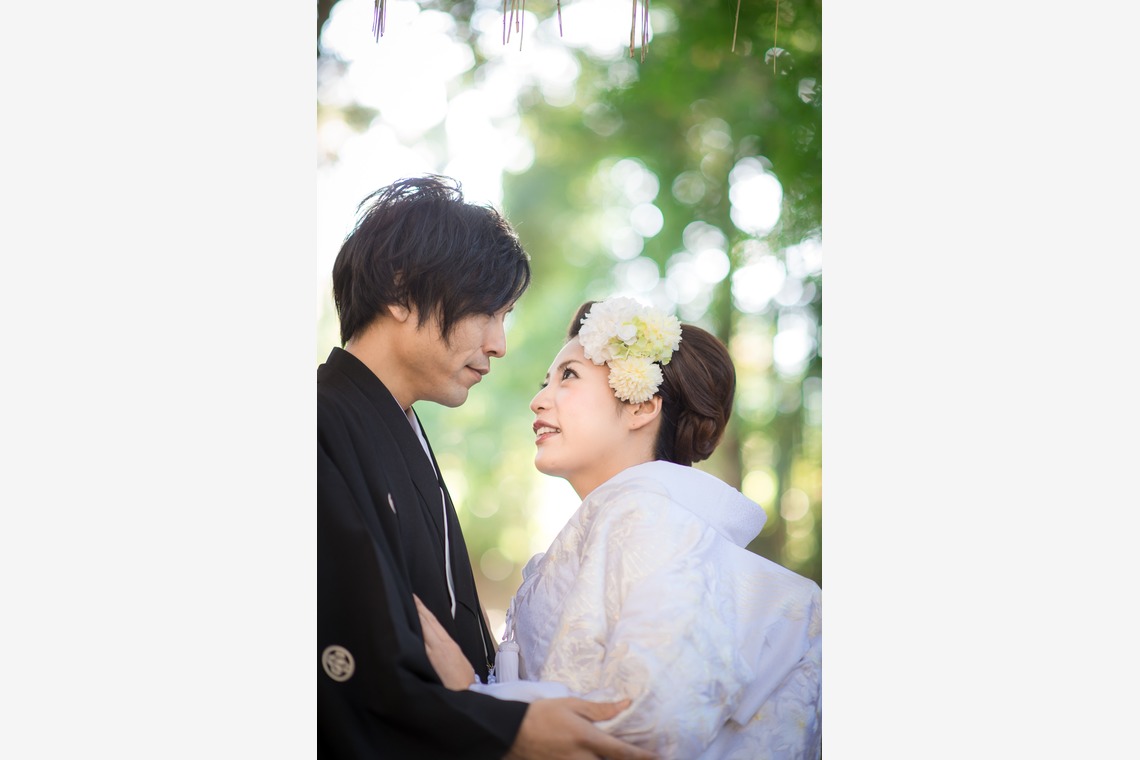 studio zeroが撮影した「京都」の写真