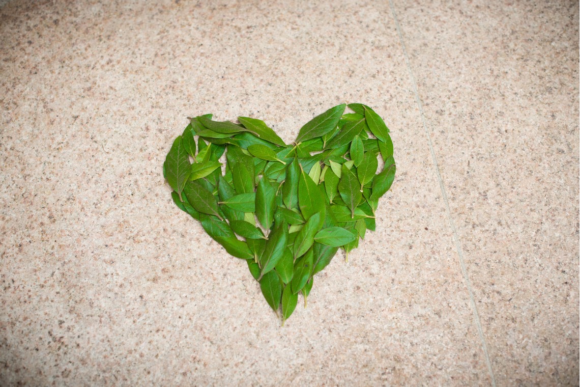 PIC WEDDING PHOTO（関口純一）が撮影した写真のアルバム「当日写真」