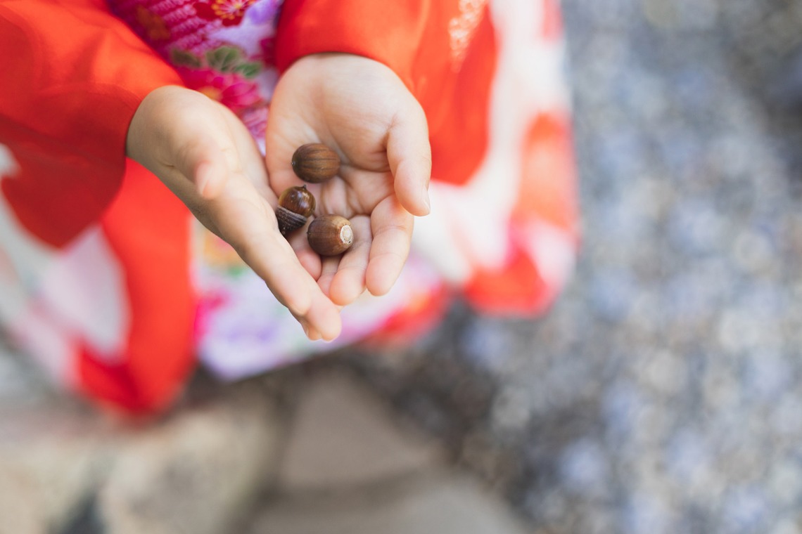 guuが撮影した「七五三@中山寺」の写真
