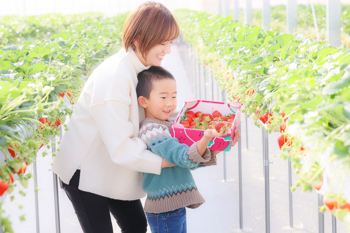 株式会社Neo-Smile 「locationbreeze」高橋 徹が撮影した写真のアルバム「かがやきいちご園様（広告撮影）」