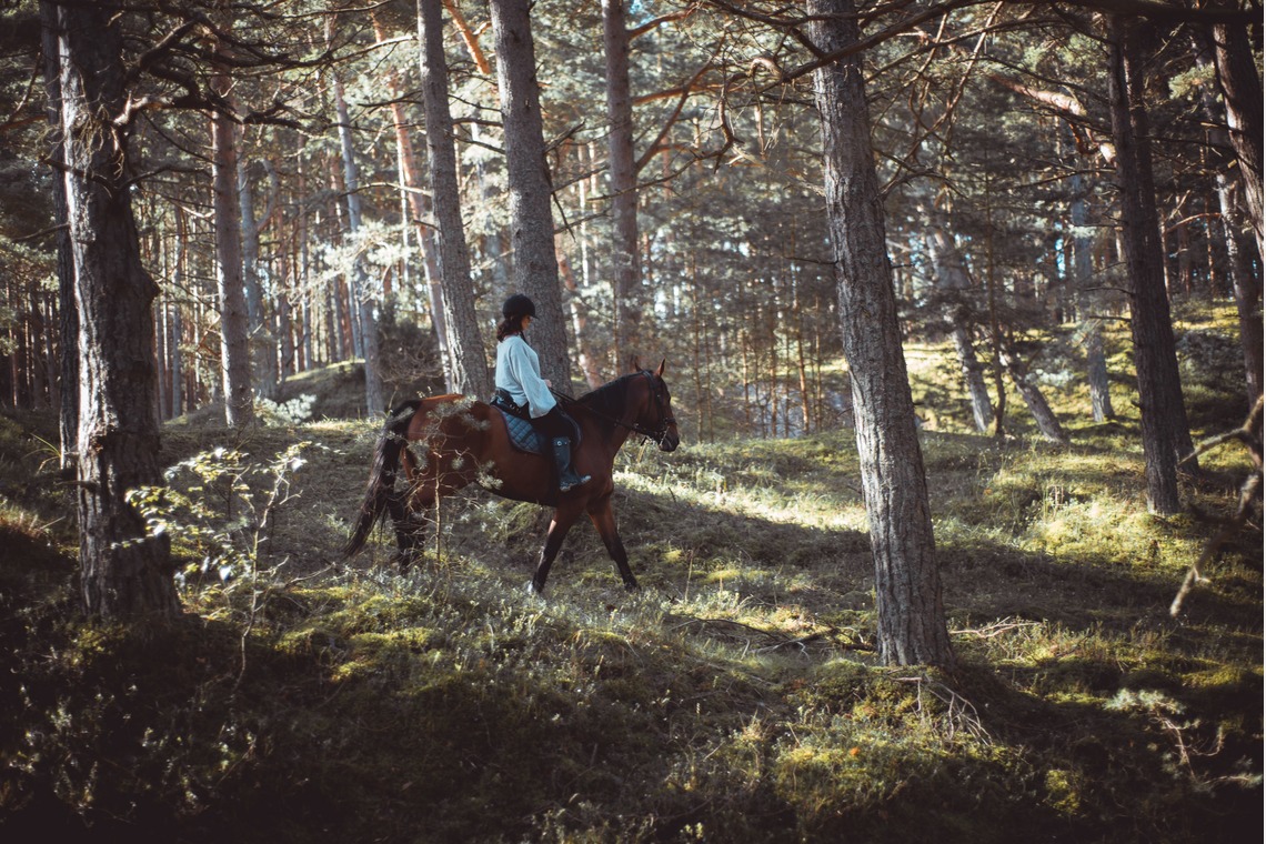 Jacek Cichopekが撮影した「ポーランド」の写真