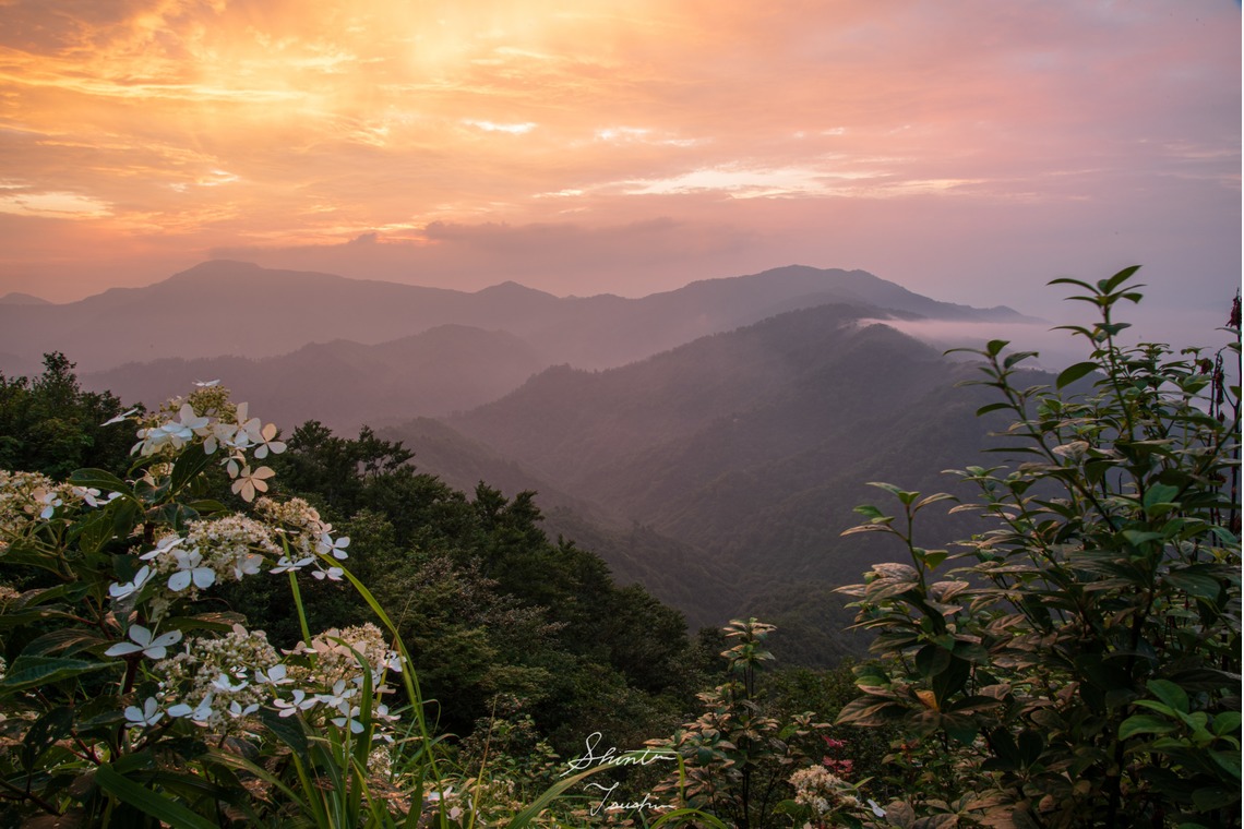 Shintaro Tsushimaが撮影した「風景」の写真