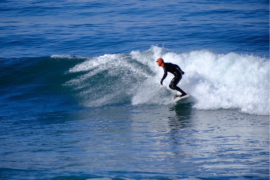 柴田美穂が撮影した「スナップ写真」の写真