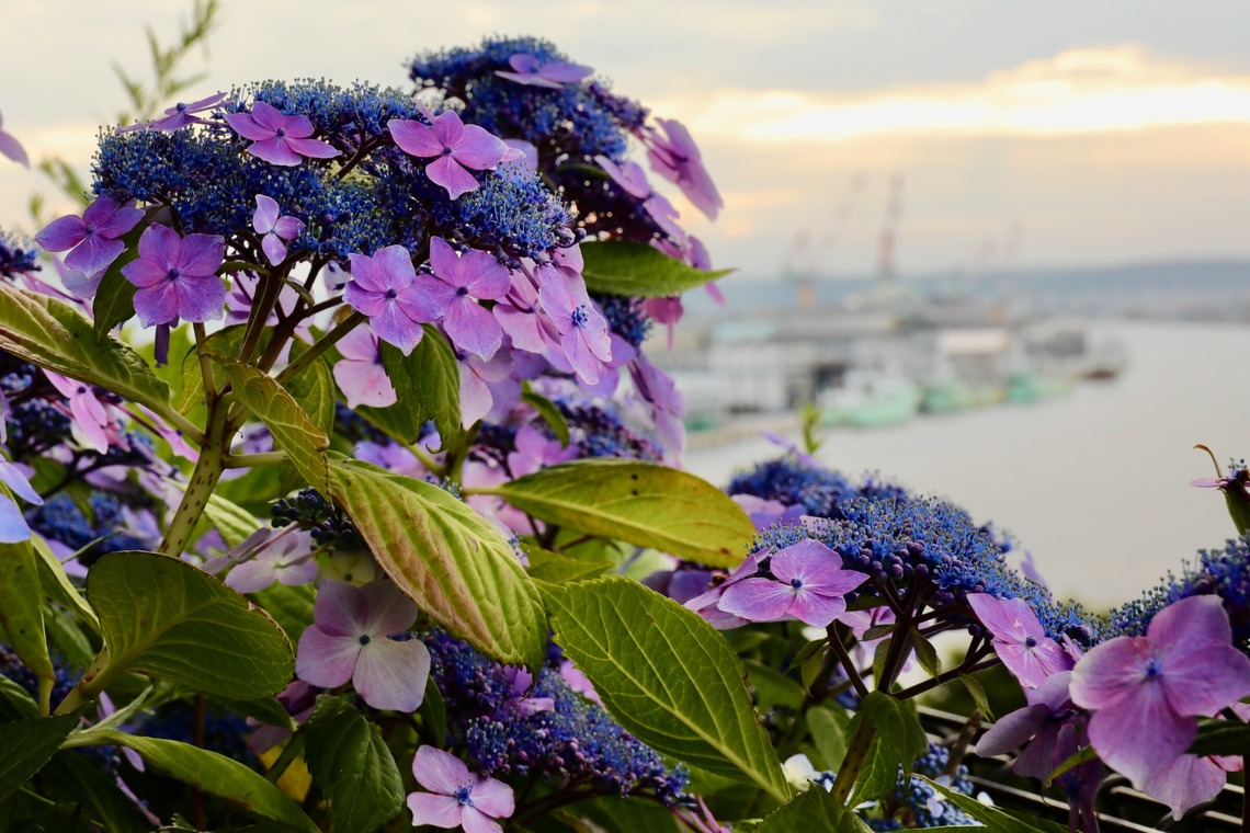 TATEZOUが撮影した「風景写真」の写真