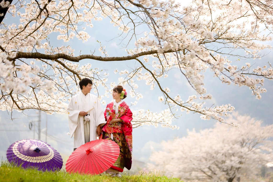 KIKIウェディングが撮影した写真のアルバム「平成最後の桜」