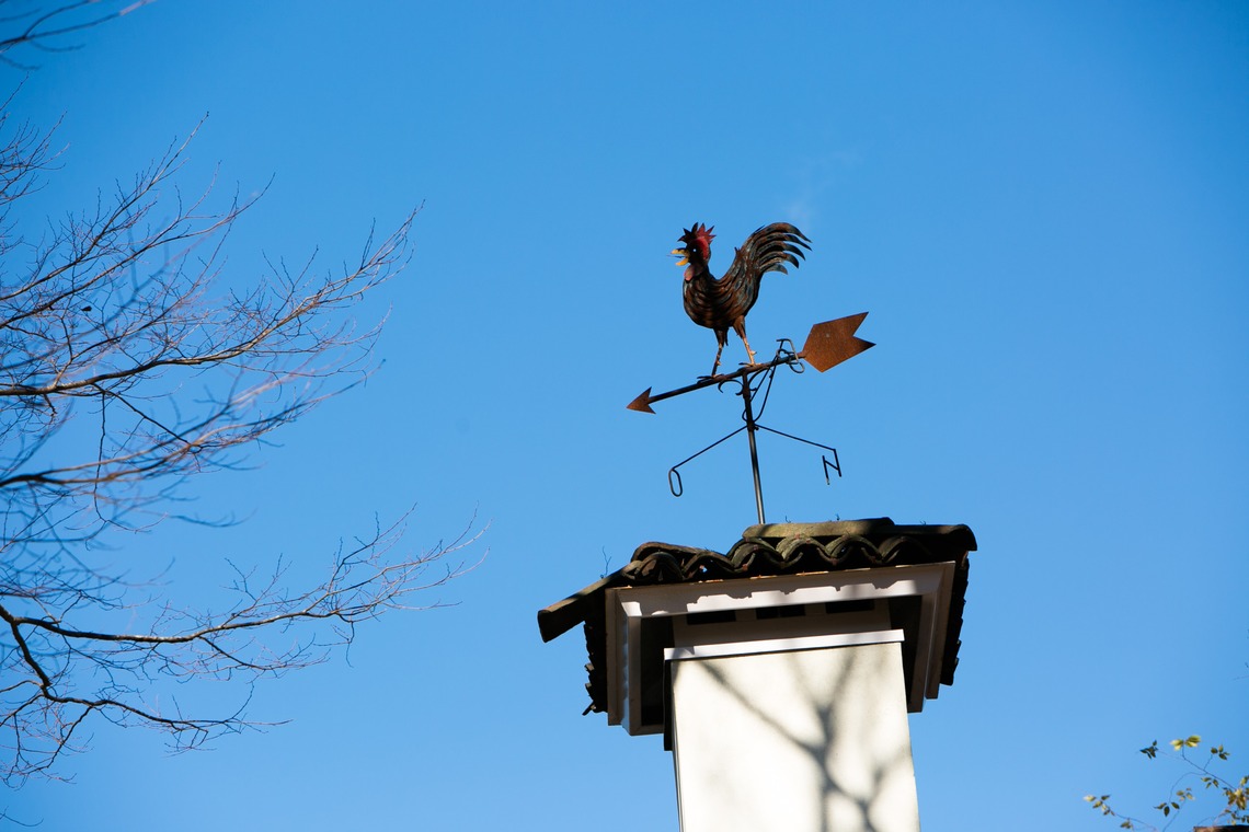 IDEA PHOTO WORKS (井出慎也)が撮影した「結婚写真2」の写真