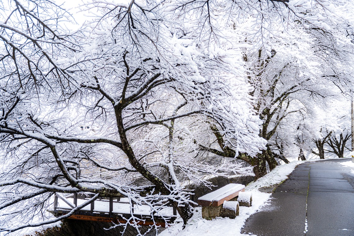 村のくまが撮影した写真のアルバム「風景」