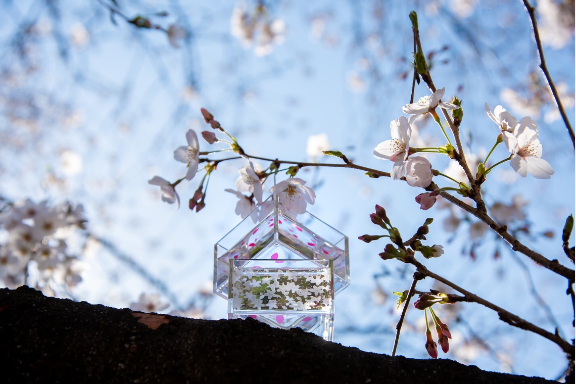 maruが撮影した写真のアルバム「旅するアクリル枡」