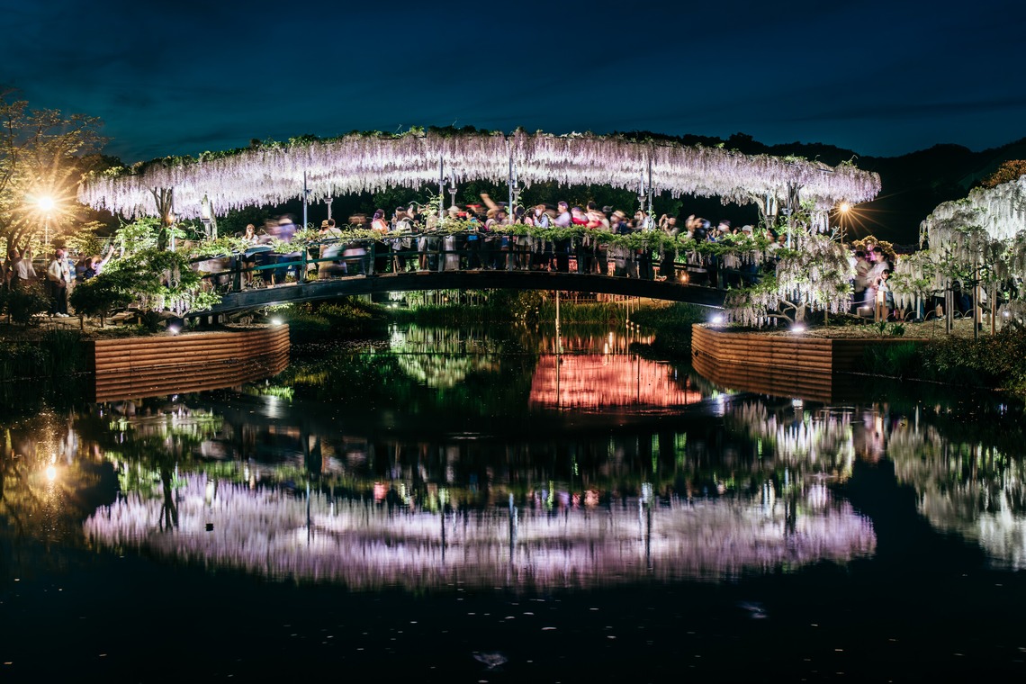 光画堂スタジオが撮影した「旅行」の写真