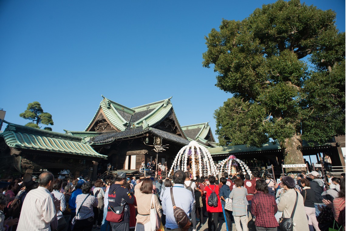 藤原和彦が撮影した「活気あふれる柴又帝釈天」の写真