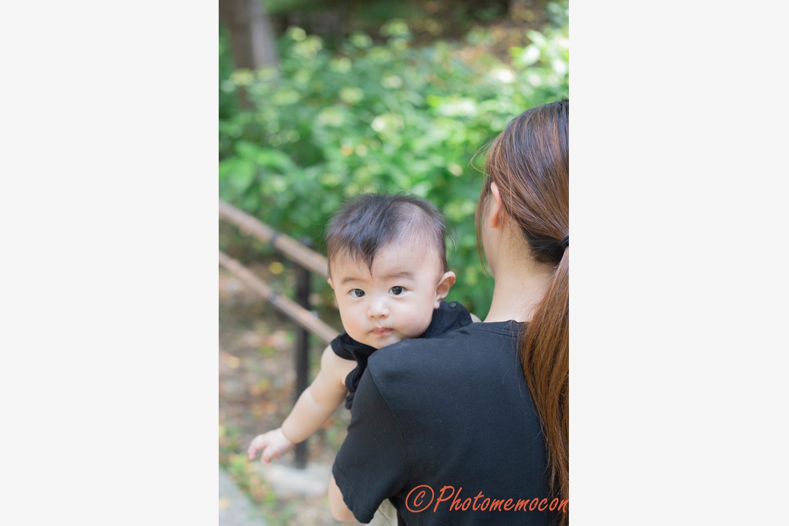 Photomemoconが撮影した「」の写真