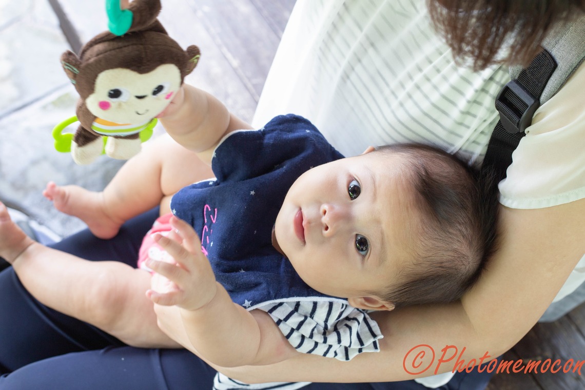 Album of the Wedding, Bridal taken by Photomemocon - 