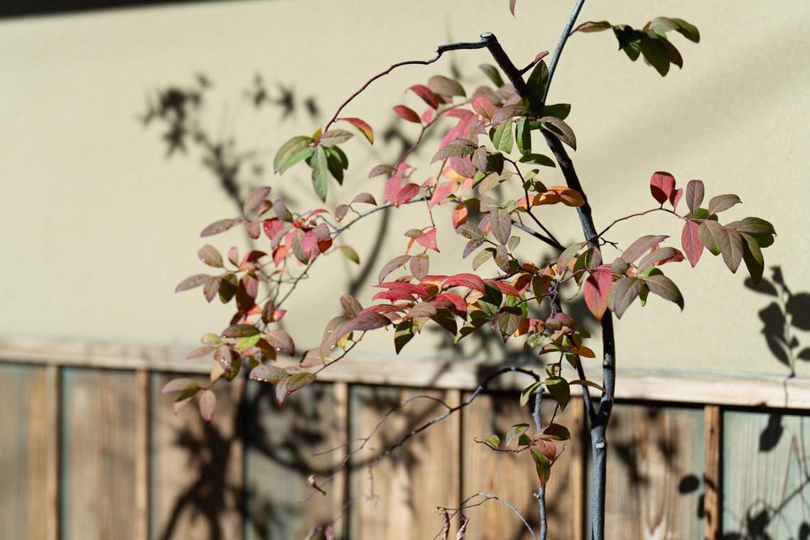 Etographが撮影した「レストラン/店舗インタビュー」の写真