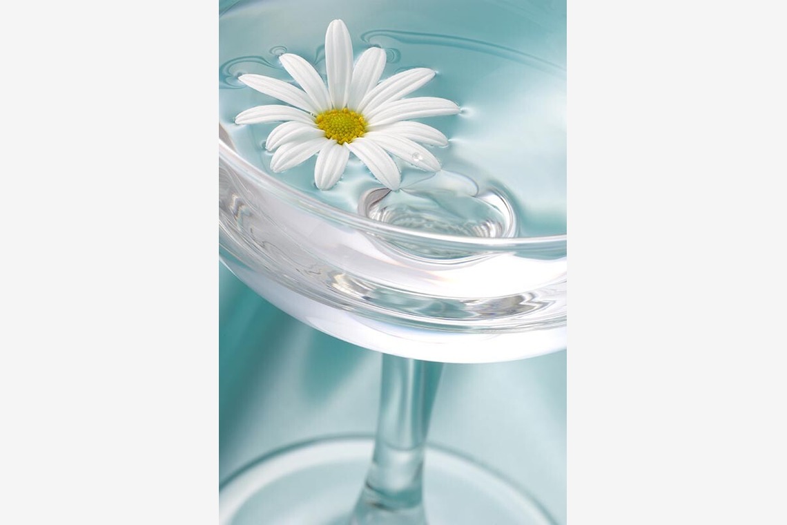 有限会社スタジオホリデー