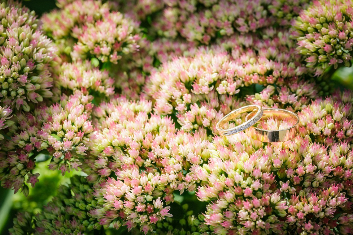 航平が撮影した「」の写真