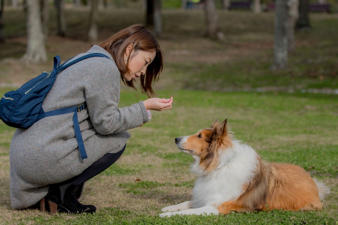 来田 篤典が撮影した「ペット」の写真