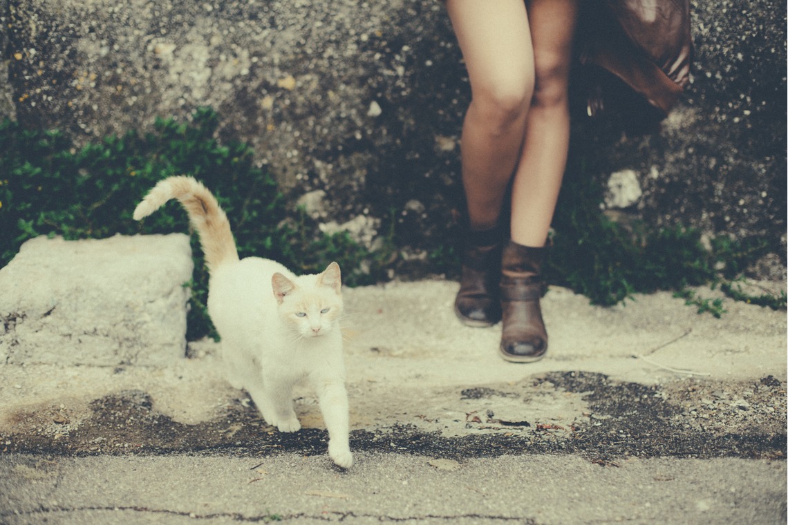 Photography Renato Zanetteが撮影した「イタリア」の写真