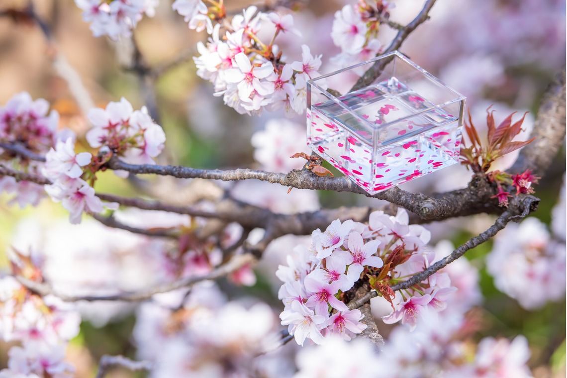 maruが撮影した写真のアルバム「旅するアクリル枡」