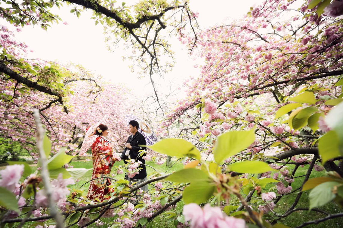 elle pupaが撮影した「京都（自然）」の写真