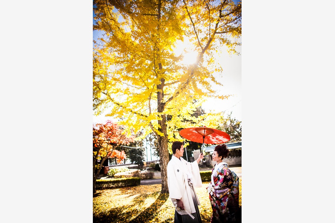阿部写真館　大阪本町 靭公園前が撮影した写真のアルバム「紅葉」