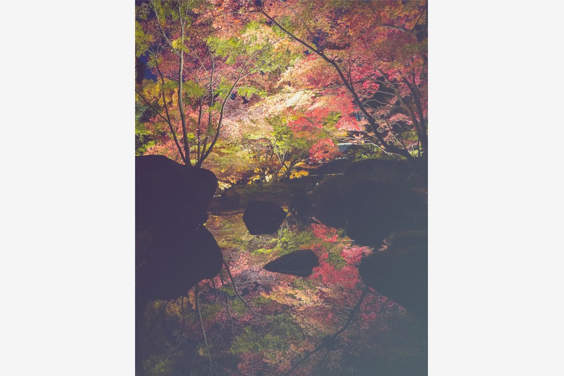 いんかが撮影した「風景.a」の写真