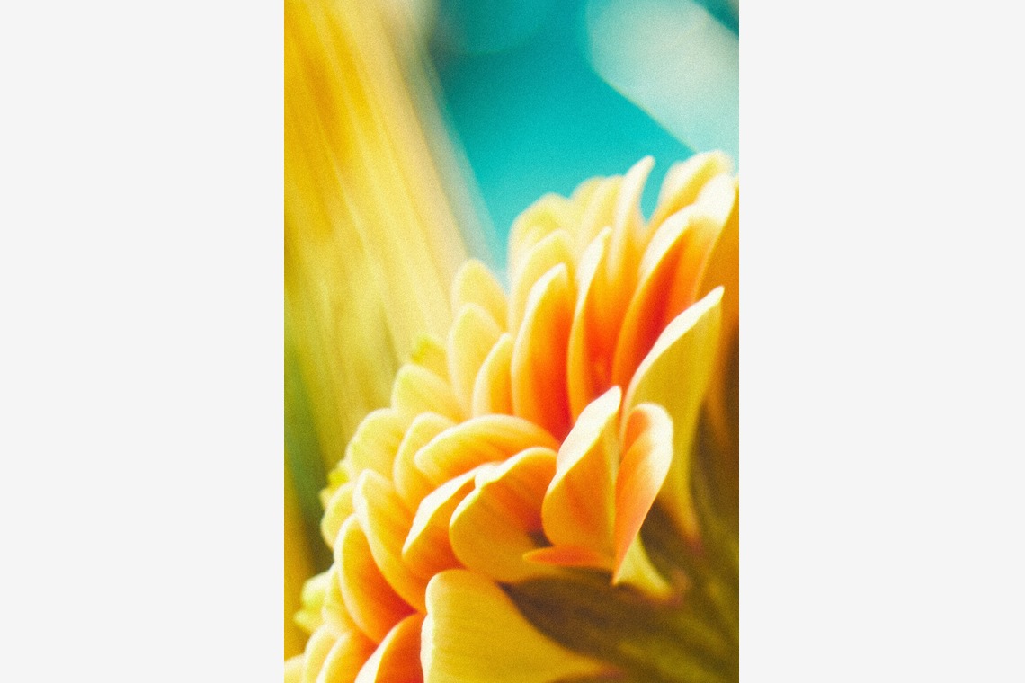 杉本伸二が撮影した写真のアルバム「人物撮影」