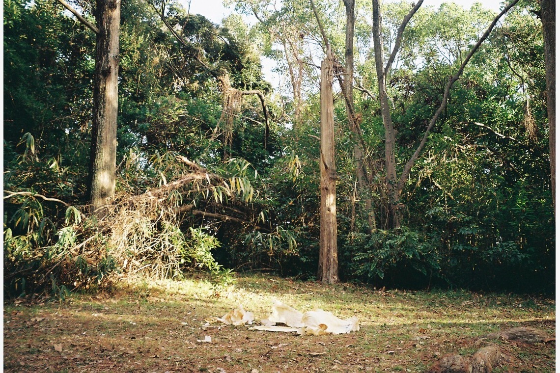 村崎玲巨が撮影した「食べる服　堺」の写真
