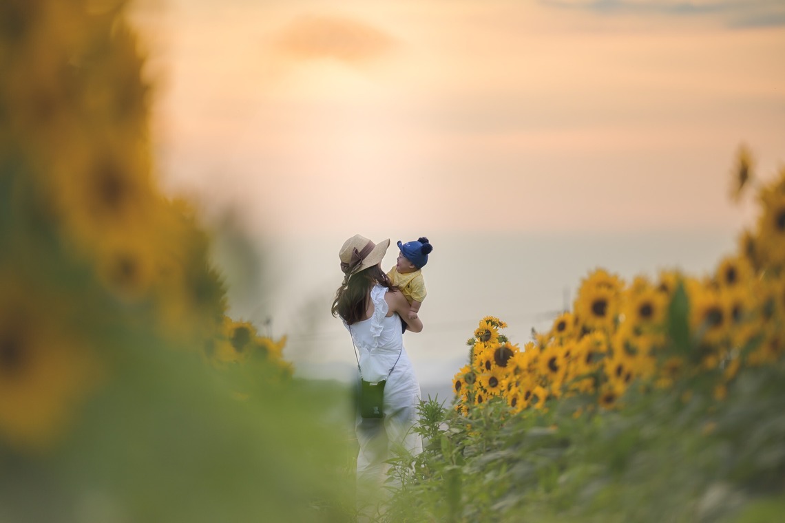 萬代　一樹が撮影した写真のアルバム「家族撮影」
