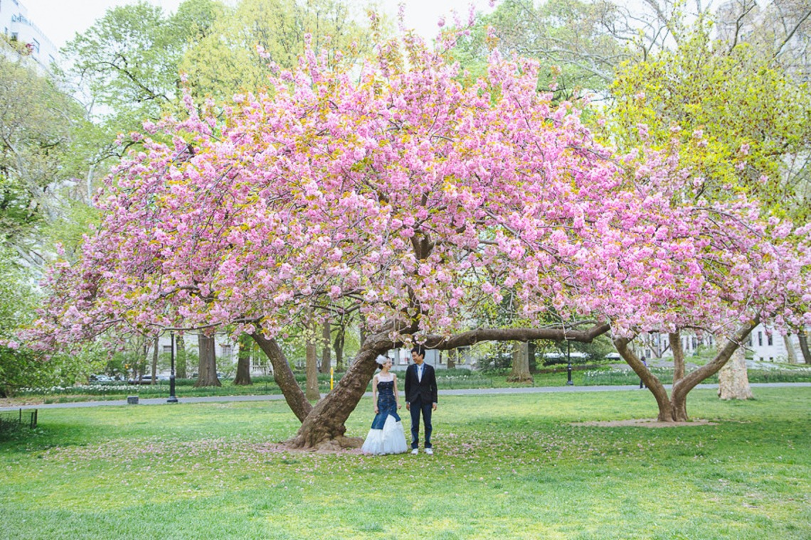 Takako Drew Photographerが撮影した「フォトギャラリー」の写真