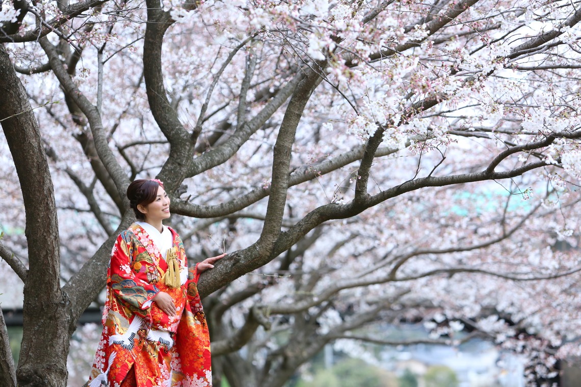STUDIO AN (スタジオアン)が撮影した「かまど神社」の写真