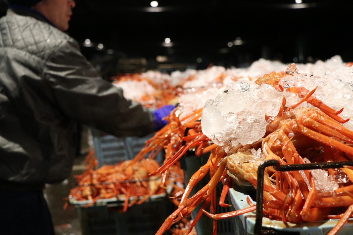 かわもとじゅんいち【Jun3photo】が撮影した写真のアルバム「商品撮影　ブツ撮り撮影」