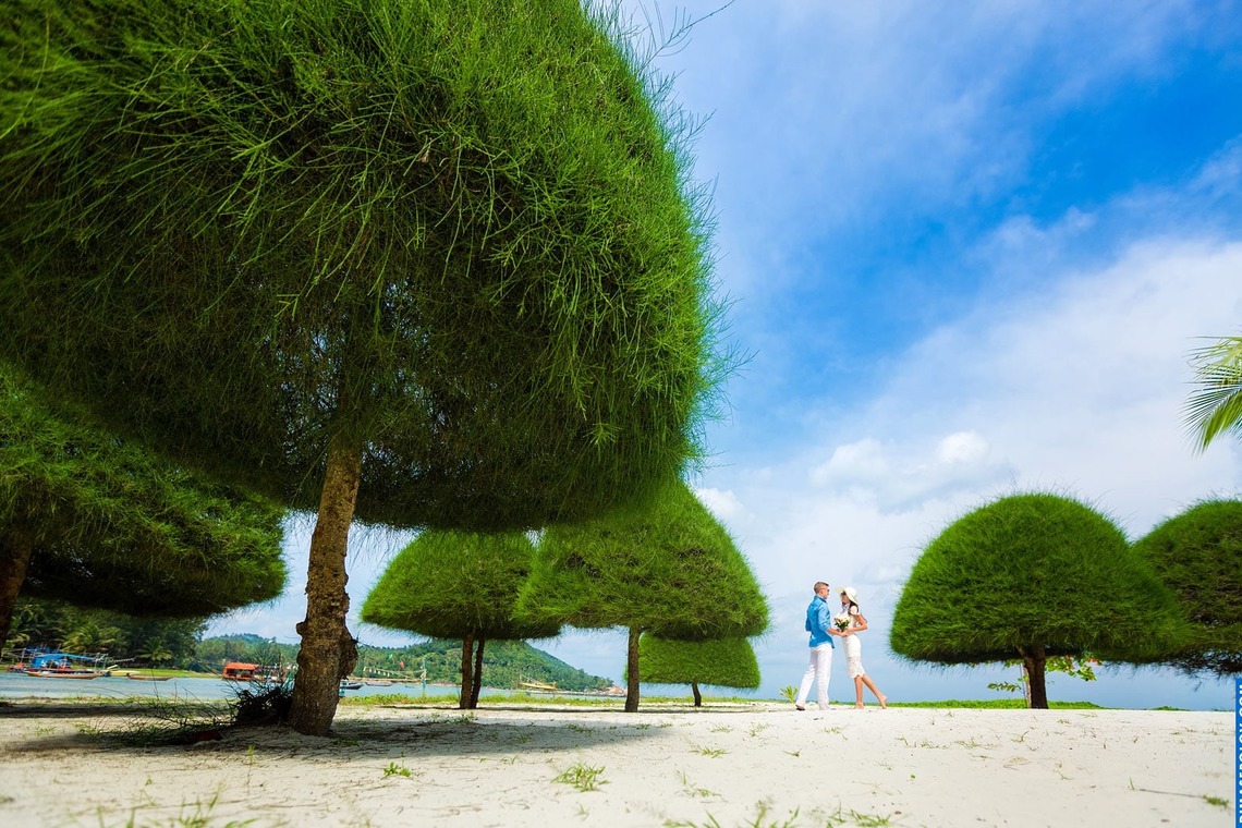 Dimas Frolov Photographyが撮影した写真のアルバム「Wedding」