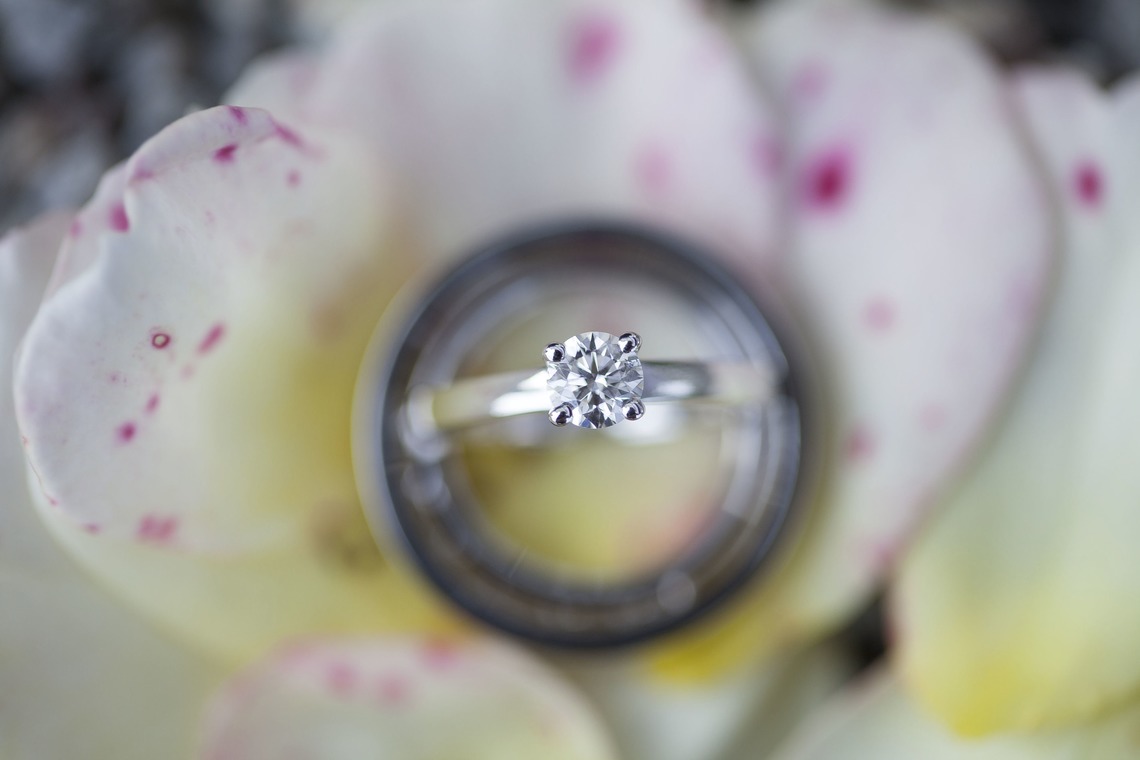 Tanja Metelitsaが撮影した「スウェーデーン」の写真