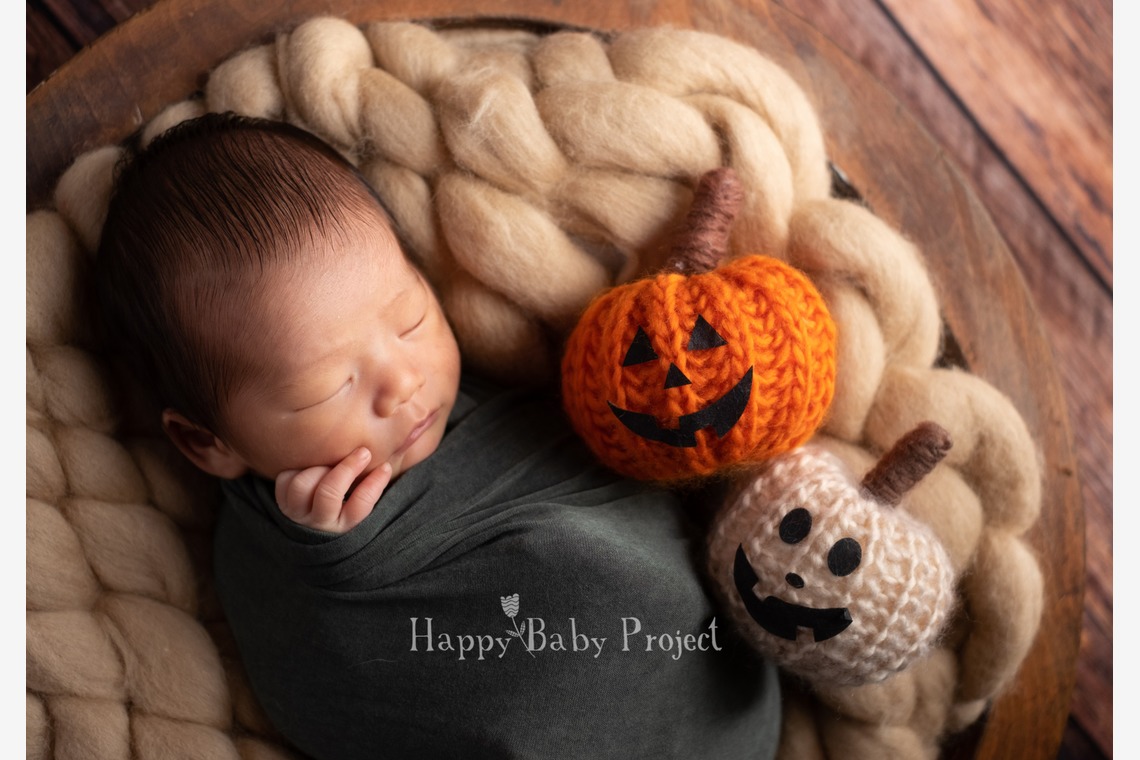 Happy Baby Projectが出張撮影した家族写真(キッズ,ベビーフォト)などが写った「Newbornphoto」の家族写真